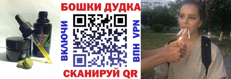 Canna-Cookies конопля  как найти   omg как зайти  Ростов-на-Дону 
