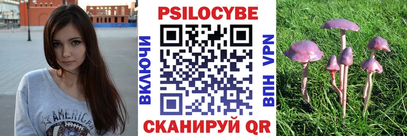 Псилоцибиновые грибы MAGIC MUSHROOMS  купить   Ростов-на-Дону 