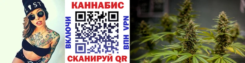 Бошки Шишки семена  Ростов-на-Дону 